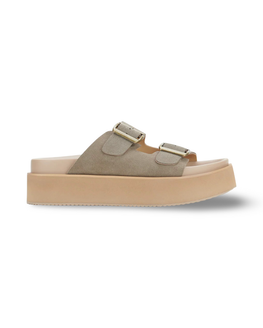 Ace Slide By Rollie - Taupe Suede